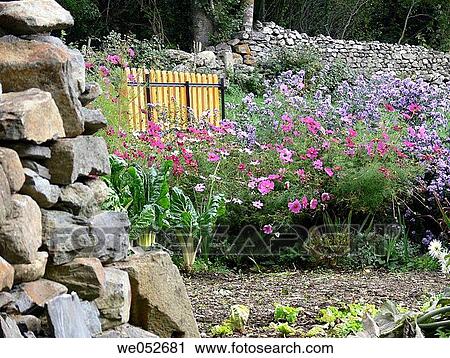 botany, Chard, country, day, fence View Large Photo Image Stock Image - botany, Chard, country, day, fence. Fotosearch