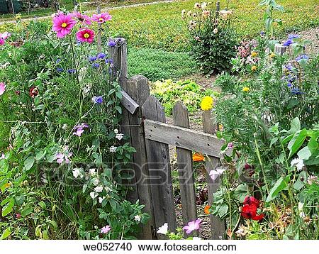 Stock Image - botany, coloured, colourful, country. Fotosearch