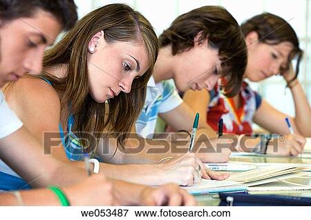 boy, companion, classroom, adolescence View Large Photo Image Stock Photo - boy, companion, classroom, adolescence. Fotosearch