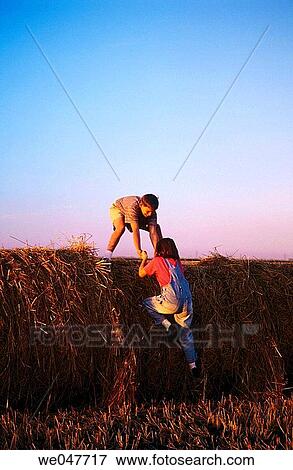 Brother helping sister up onto hay bales. Canada View Large Photo Image Stock Photo - Brother helping sister up onto hay bales. Canada. Fotosearch
