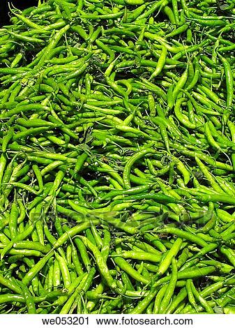 Capsicum annuum - Common Chilli kept for selling in a vegetable market. Marketyard, Pune, Maharashtra, India. View Large Photo Image Stock Image - Capsicum annuum - Common Chilli kept for selling in a vegetable market. Marketyard, Pune, Maharashtra, India.. Fotosearch