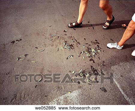 careless, chip, carelessness, anonymous View Large Photo Image Stock Photography - careless, chip, carelessness, anonymous. Fotosearch