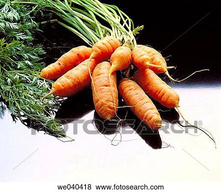 Carrots View Large Photo Image Stock Photo - Carrots. Fotosearch