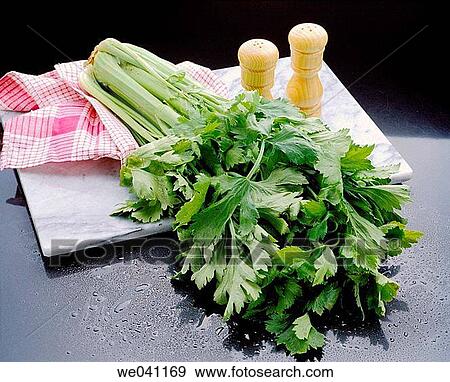 Celery View Large Photo Image Stock Photo - Celery. Fotosearch