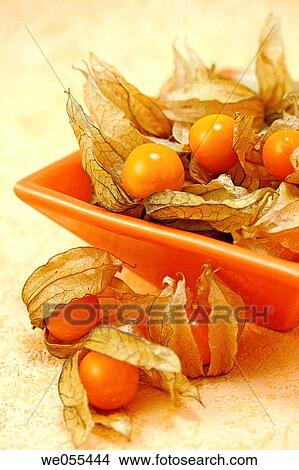 Chinese cherries View Large Photo Image Picture - Chinese cherries. Fotosearch