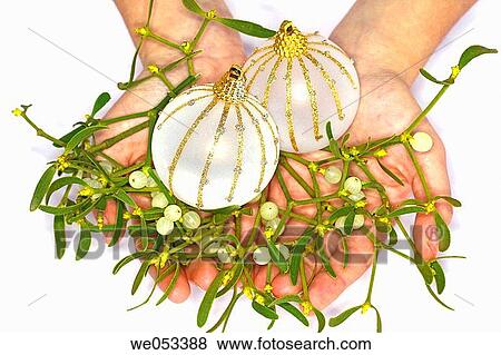 Christmas ornament balls and Mistletoe (Viscum album) View Large Photo Image Stock Photo - Christmas ornament balls and Mistletoe (Viscum album). Fotosearch