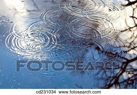 Picture - circle, background, branch, blue-toned, blue, activity. Fotosearch