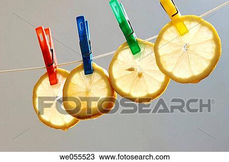 Citrus fruit, Close-up, clothesline, clothespeg, clothespin View Large Photo Image Stock Image - Citrus fruit, Close-up, clothesline, clothespeg, clothespin. Fotosearch