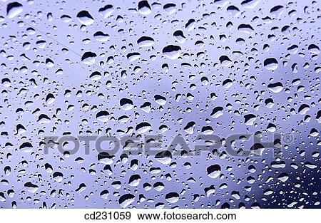 concept, day, detail, drop, droplet View Large Photo Image Stock Photo - concept, day, detail, drop, droplet. Fotosearch