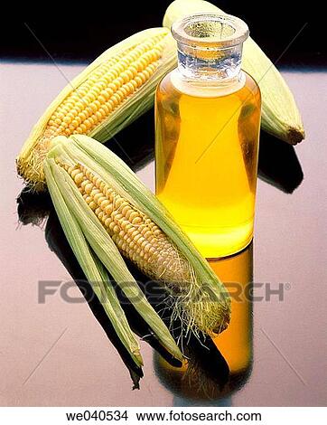Picture - Corn oil. Fotosearch