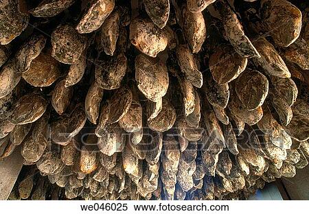 Cured hams, Jabugo. Huelva province, Andalusia, Spain View Large Photo Image Stock Photography - Cured hams, Jabugo. Huelva province, Andalusia, Spain. Fotosearch