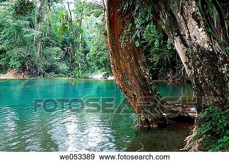 Stock Photo - Detail of one of the natural swimmimgpools create in between of the waterfalls of the rainforest river AguaAzul in the southern state of Chiapas in Mexico, Latinamerica. Fotosearch