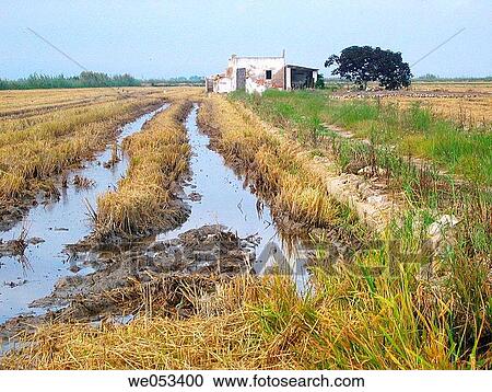 Ebro delta landscape. Tarragona province, Catalonia, Spain View Large Photo Image Stock Image - Ebro delta landscape. Tarragona province, Catalonia, Spain. Fotosearch