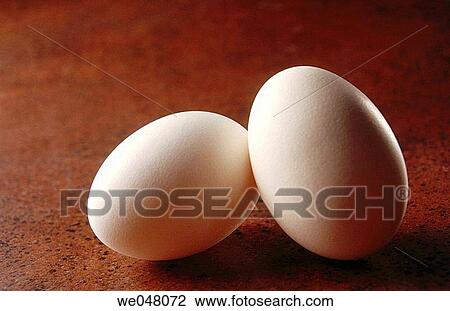 Eggs View Large Photo Image Stock Image - Eggs. Fotosearch