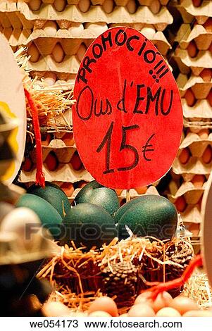 Emu eggs. La Boquer? a market. Barcelona. Spain. View Large Photo Image Stock Image - Emu eggs. La Boquer? a market. Barcelona. Spain.. Fotosearch