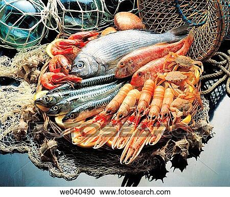 Fish and seafood View Large Photo Image Stock Image - Fish and seafood. Fotosearch