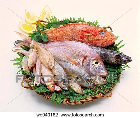 Stock Image - Fish. Fotosearch