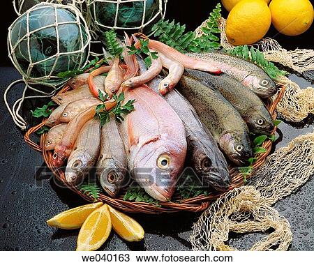 Fish View Large Photo Image Stock Image - Fish. Fotosearch