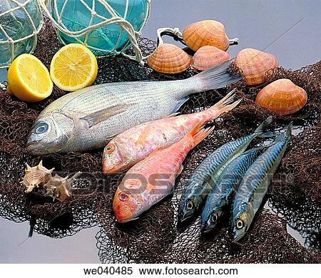 Fish View Large Photo Image Stock Photography - Fish. Fotosearch