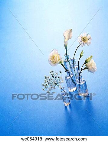 Flowers in antique bottle vases on blue, white rose, white Cala lily View Large Photo Image Stock Photo - Flowers in antique bottle vases on blue, white rose, white Cala lily. Fotosearch
