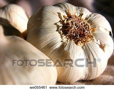 Garlic View Large Photo Image Stock Image - Garlic. Fotosearch