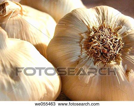 Garlic View Large Photo Image Stock Image - Garlic. Fotosearch