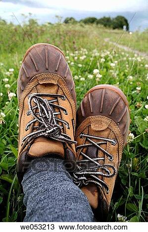 Hiking shoes on meadow with clover, hiking path in background, Holland, Netherlands View Large Photo Image Stock Image - Hiking shoes on meadow with clover, hiking path in background, Holland, Netherlands. Fotosearch