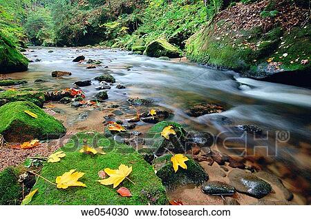 In the valley? Kirnitsch? (the stream? Kirnitsch? ). Saxon Switzerland, The Elbe Sandstone Mounains, Saxony, Germany, Europe View Large Photo Image Stock Image - In the valley? Kirnitsch? (the stream? Kirnitsch? ). Saxon Switzerland, The Elbe Sandstone Mounains, Saxony, Germany, Europe. Fotosearch