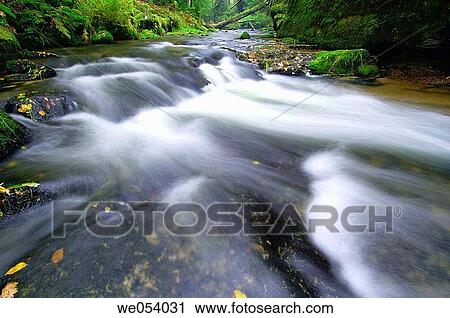 In the valley? Kirnitsch? (the stream? Kirnitsch? ). Saxon Switzerland, The Elbe Sandstone Mounains, Saxony, Germany, Europe View Large Photo Image Stock Image - In the valley? Kirnitsch? (the stream? Kirnitsch? ). Saxon Switzerland, The Elbe Sandstone Mounains, Saxony, Germany, Europe. Fotosearch