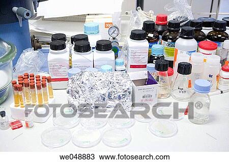 Inasmet-Tecnalia Foundation, Technology and Research Centre, San Sebastian Technological Park, Basque Country. Materials for microbiological culture, microbiology lab View Large Photo Image Stock Image - Inasmet-Tecnalia Foundation, Technology and Research Centre, San Sebastian Technological Park, Basque Country. Materials for microbiological culture, microbiology lab. Fotosearch