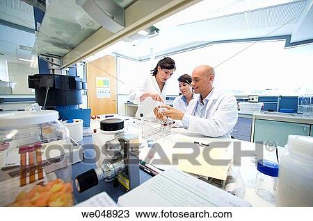 Inasmet-Tecnalia Foundation, Technology and Research Centre, San Sebastian Technological Park, Basque Country. Chemists with Petri dishes, microbiology lab View Large Photo Image Stock Image - Inasmet-Tecnalia Foundation, Technology and Research Centre, San Sebastian Technological Park, Basque Country. Chemists with Petri dishes, microbiology lab. Fotosearch