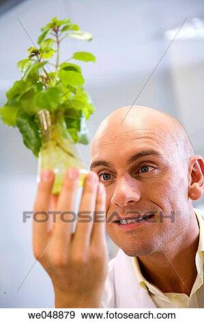 Inasmet-Tecnalia Foundation, Technology and Research Centre, San Sebastian Technological Park, Basque Country. Hydroponic crops, organic chemistry lab View Large Photo Image Stock Photo - Inasmet-Tecnalia Foundation, Technology and Research Centre, San Sebastian Technological Park, Basque Country. Hydroponic crops, organic chemistry lab. Fotosearch