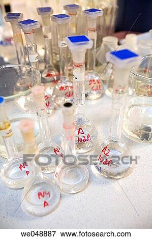 Inasmet-Tecnalia Foundation, Technology and Research Centre, San Sebastian Technological Park, Basque Country. Flasks, microbiology lab View Large Photo Image Stock Photo - Inasmet-Tecnalia Foundation, Technology and Research Centre, San Sebastian Technological Park, Basque Country. Flasks, microbiology lab. Fotosearch