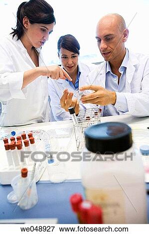 Inasmet-Tecnalia Foundation, Technology and Research Centre, San Sebastian Technological Park, Basque Country. Chemists with Petri dishes, microbiology lab View Large Photo Image Stock Photo - Inasmet-Tecnalia Foundation, Technology and Research Centre, San Sebastian Technological Park, Basque Country. Chemists with Petri dishes, microbiology lab. Fotosearch