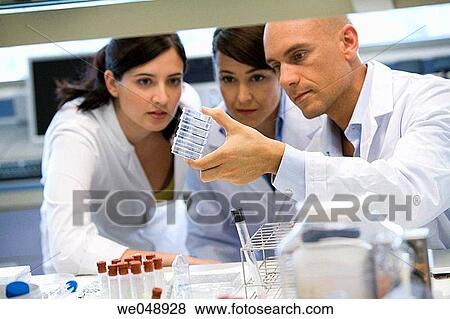 Inasmet-Tecnalia Foundation, Technology and Research Centre, San Sebastian Technological Park, Basque Country. Chemists with Petri dishes, microbiology lab View Large Photo Image Stock Photo - Inasmet-Tecnalia Foundation, Technology and Research Centre, San Sebastian Technological Park, Basque Country. Chemists with Petri dishes, microbiology lab. Fotosearch