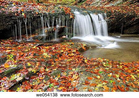 Irati forest. Navarra, Spain View Large Photo Image Stock Photo - Irati forest. Navarra, Spain. Fotosearch