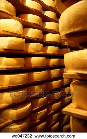 Menonnite cheese Dairy. Chihuahua, Mexico View Large Photo Image Stock Image - Menonnite cheese Dairy. Chihuahua, Mexico. Fotosearch
