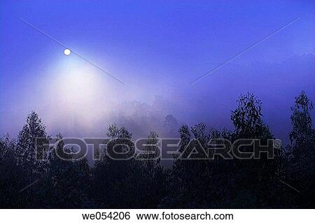 Mist in the evening View Large Photo Image Stock Photograph - Mist in the evening. Fotosearch