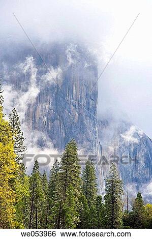 Stock Photograph - Mist rising by El Capitan. Yosemite National Park. California. USA. Fotosearch