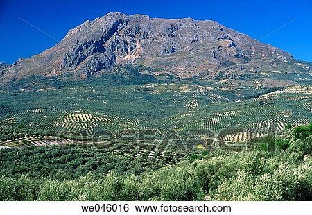 Monte Aznait? n and olive groves, Sierra Mßgina. Ja? n province, Andalusia, Spain View Large Photo Image Stock Photograph - Monte Aznait? n and olive groves, Sierra Mßgina. Ja? n province, Andalusia, Spain. Fotosearch