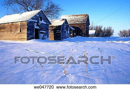 Old farm shacks in winter. Manitoba. Canada View Large Photo Image Stock Image - Old farm shacks in winter. Manitoba. Canada. Fotosearch