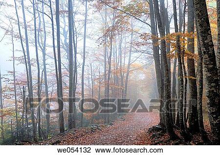 Ordesa and Monte Perdido National Park. Pyrenees Mountains, Huesca province, Arag? n, Spain View Large Photo Image Stock Image - Ordesa and Monte Perdido National Park. Pyrenees Mountains, Huesca province, Arag? n, Spain. Fotosearch