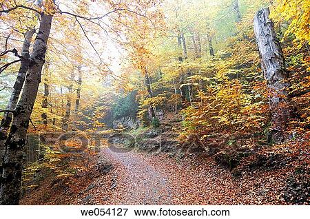 Ordesa and Monte Perdido National Park. Pyrenees Mountains, Huesca province, Arag? n, Spain View Large Photo Image Stock Photo - Ordesa and Monte Perdido National Park. Pyrenees Mountains, Huesca province, Arag? n, Spain. Fotosearch