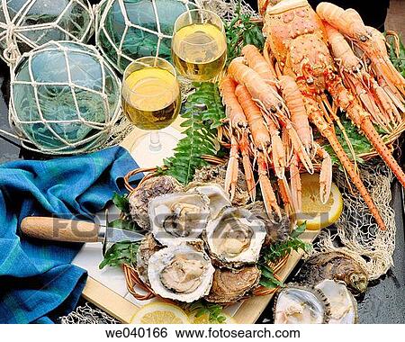 Oysters, seafood View Large Photo Image Stock Photograph - Oysters, seafood. Fotosearch