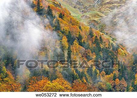 Parc National Pyrenees. France View Large Photo Image Stock Image - Parc National Pyrenees. France. Fotosearch