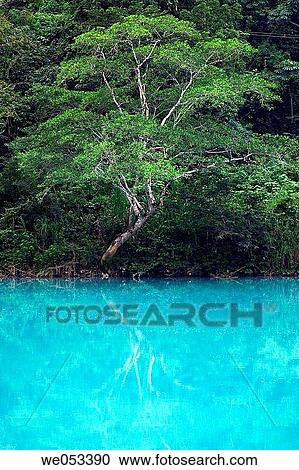 partial view of the river of Agua Clara in the rainforest of the southern State of Chiapas in Mexico, Latin america View Large Photo Image Stock Image - partial view of the river of Agua Clara in the rainforest of the southern State of Chiapas in Mexico, Latin america. Fotosearch