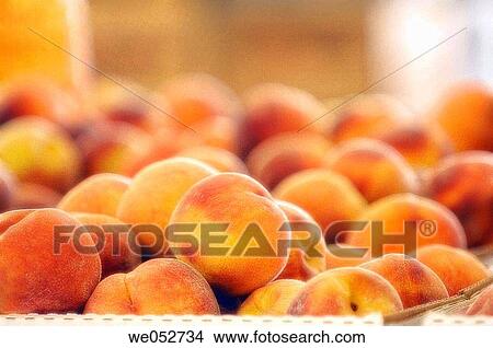 Picture - Peaches on Farmers Market Stand. Prunus peach. August 2006. Maryland, USA. Fotosearch