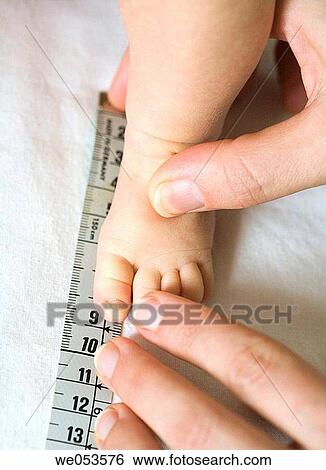 Pediatrician Doing a Medical Check on a Baby View Large Photo Image Stock Photograph - Pediatrician Doing a Medical Check on a Baby. Fotosearch