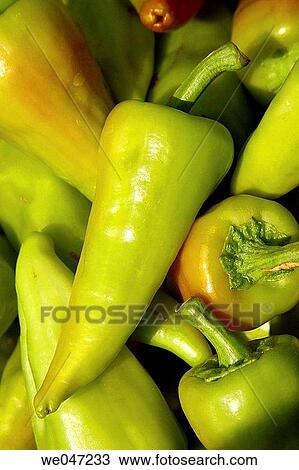 Peppers. Oaxaca, Mexico. View Large Photo Image Stock Image - Peppers. Oaxaca, Mexico.. Fotosearch