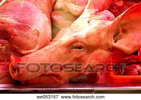 Pig's head at La Boquer? a market, Barcelona. Catalonia, Spain View Large Photo Image Stock Photo - Pig's head at La Boquer? a market, Barcelona. Catalonia, Spain. Fotosearch